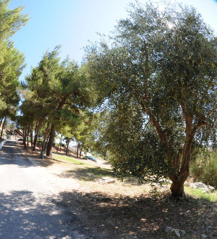 Villaggio Santo Stefano Vieste Exteriör bild